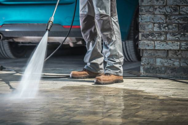 Best Roof Washing  in Moulton, AL
