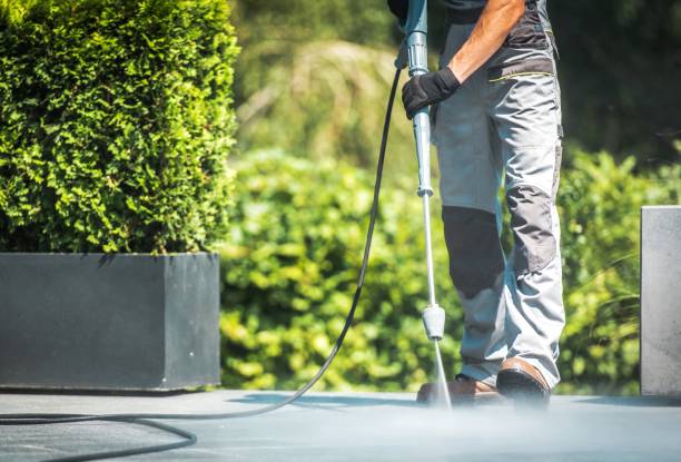 Best Fence Cleaning  in Moulton, AL