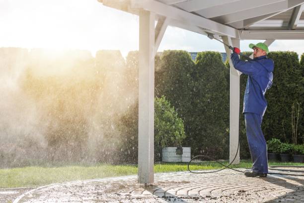 Best Pool Deck Cleaning  in Moulton, AL