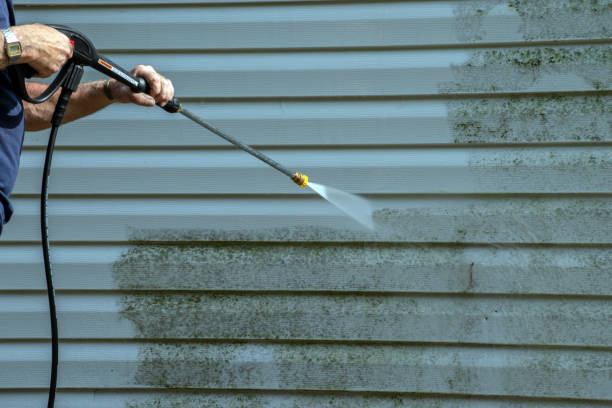 Best Graffiti Removal  in Moulton, AL